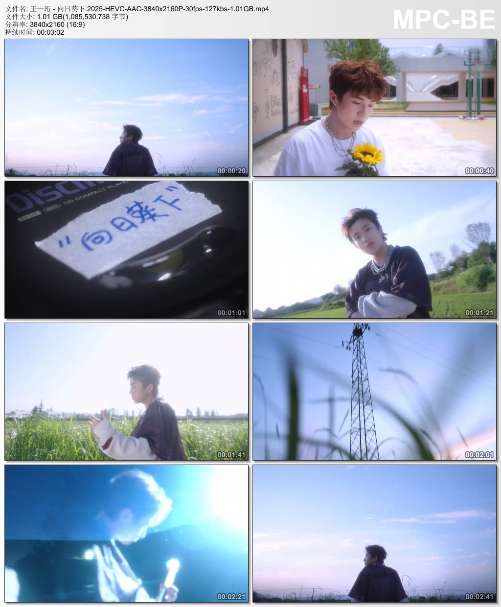 王一珩 - 向日葵下.2025-HEVC-AAC-3840x2160P-30fps-127kbs-1.01GB官方MV_高清MV